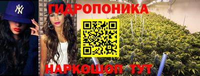 стаф Изобильный