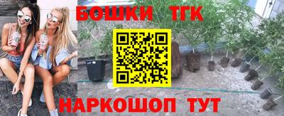 стаф Изобильный