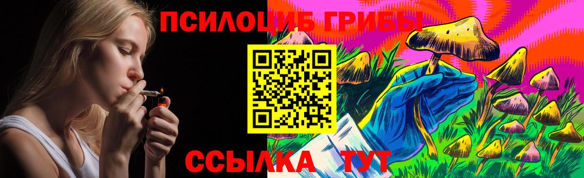Галлюциногенные грибы Psilocybe Кулебаки