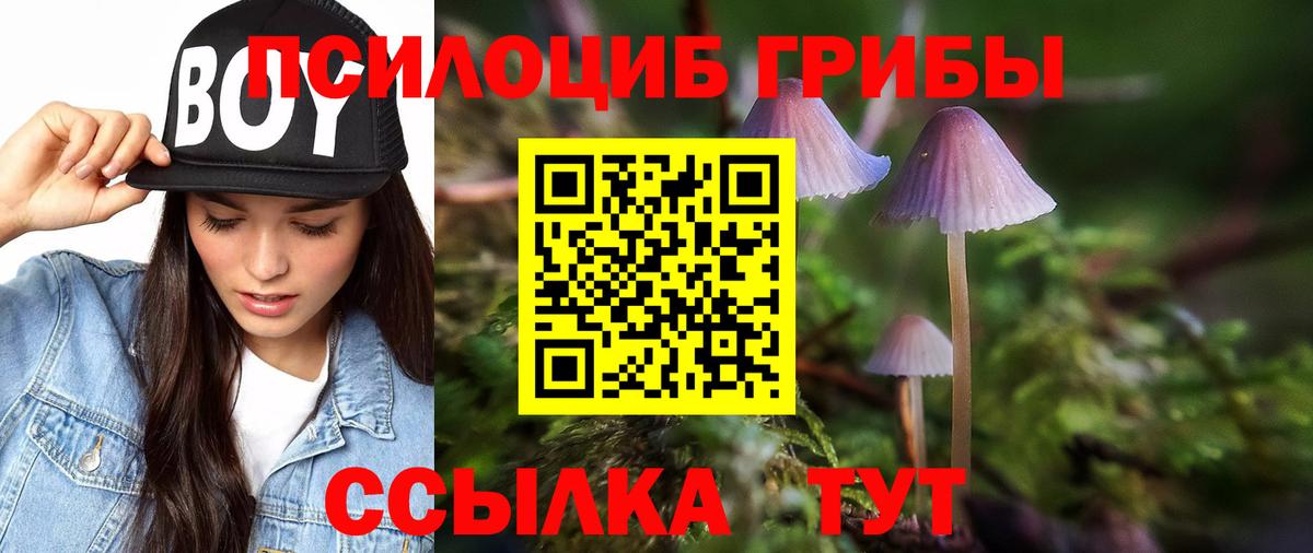 цены   Вход с VPN  Кулебаки  Псилоцибиновые грибы Magic Shrooms 